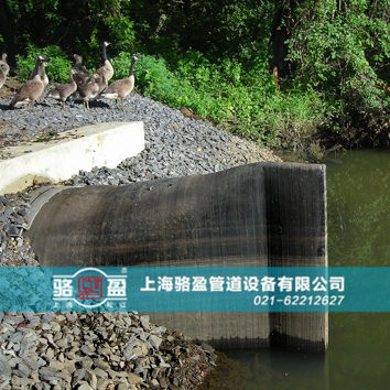 直嘴<a href=http://www.xbkjo.com target=_blank class=infotextkey>橡膠止回閥</a>運行現場