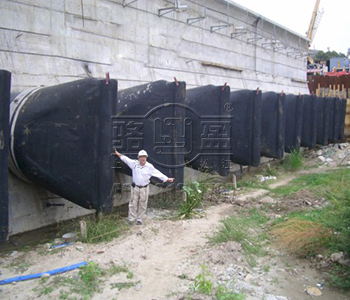 呼倫貝爾市扎蘭屯市鴨嘴閥在西班牙案例